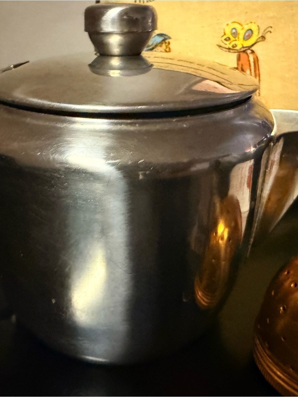 Stainless Steel Tea Kettle - Black Finish